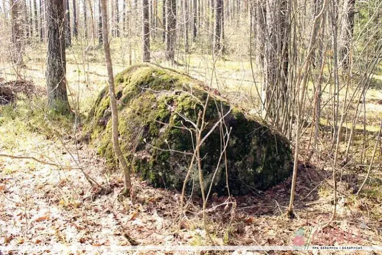 photo_2022-10-04_12-00-43.jpg photo_2022-10-04_12-00-43.jpg