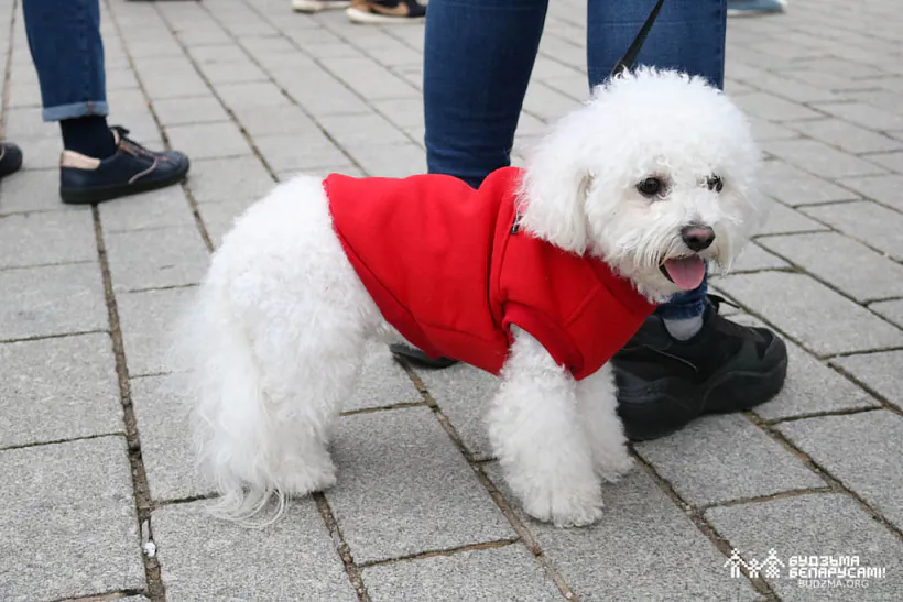 2022-11-01 Дзяды_А. Ляшкевіч_0091.jpg 2022-11-01 Дзяды_А. Ляшкевіч_0091.jpg