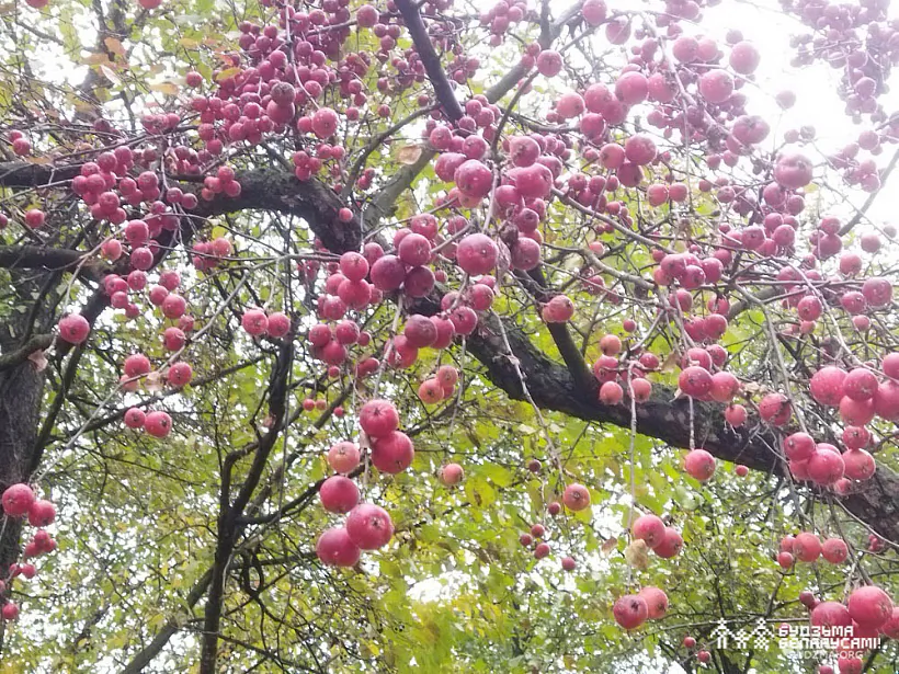 IMG_20221023_121537.jpg IMG_20221023_121537.jpg