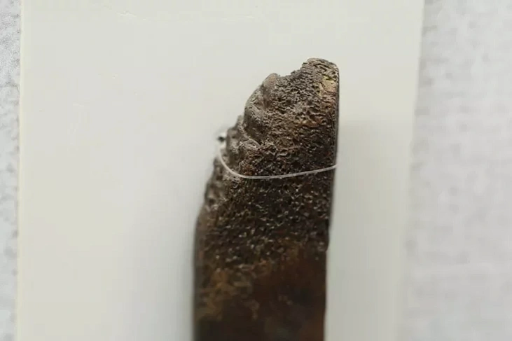 Kostka z hrafici «paliaŭničy z siakieraj» Kostka z hrafici «paliaŭničy z siakieraj»