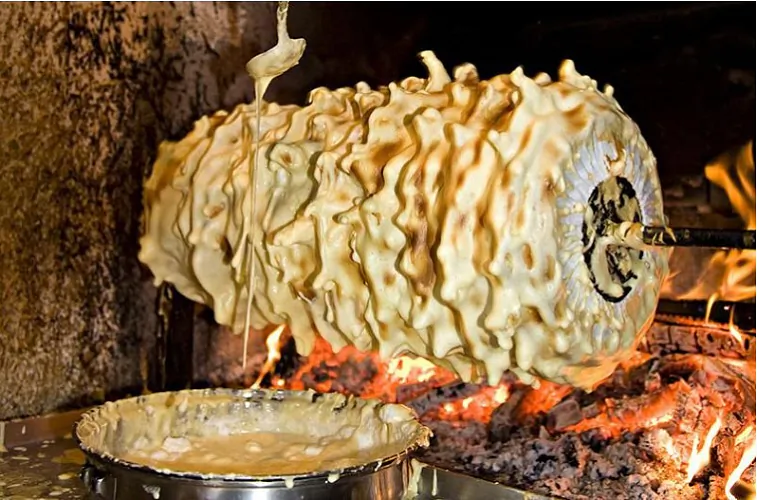 Zniešni vyhliad poĺskaha sienkača Zniešni vyhliad poĺskaha sienkača