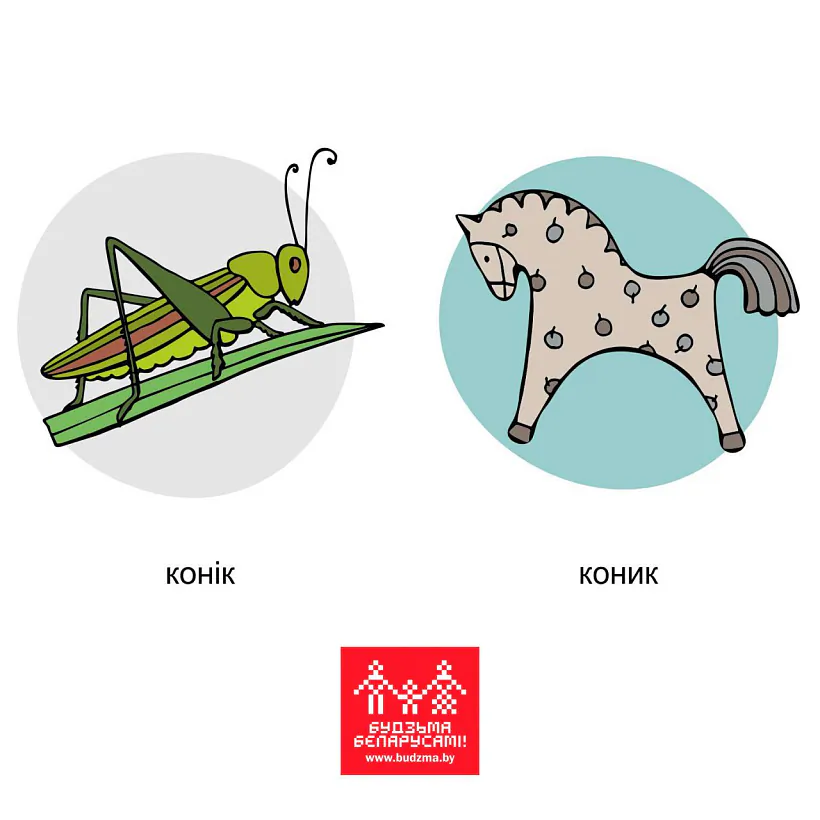 Mižmoŭnyja amonimy