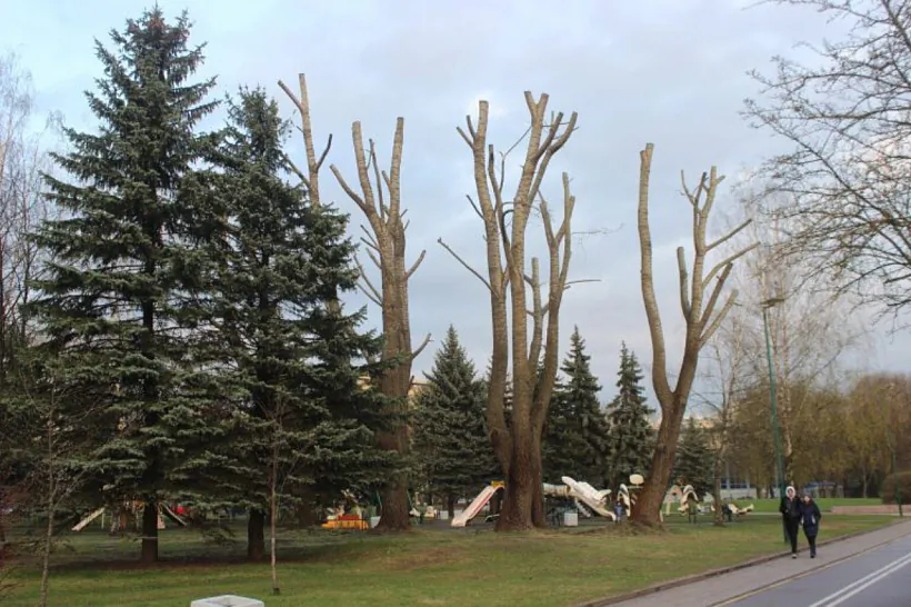 photo_2022-04-05_20-48-42.jpg photo_2022-04-05_20-48-42.jpg