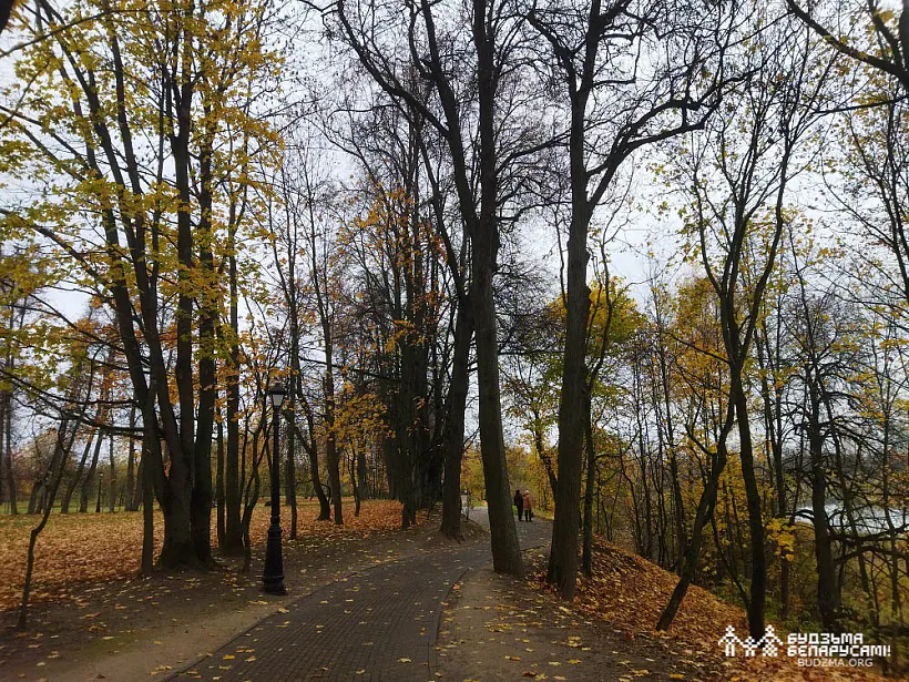 IMG_20221023_115630.jpg IMG_20221023_115630.jpg