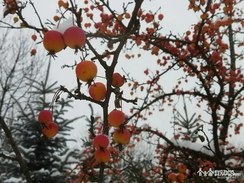 IMG_20221119_160558.jpg IMG_20221119_160558.jpg