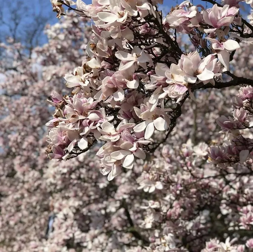 photo_2023-04-16_10-38-26.jpg photo_2023-04-16_10-38-26.jpg