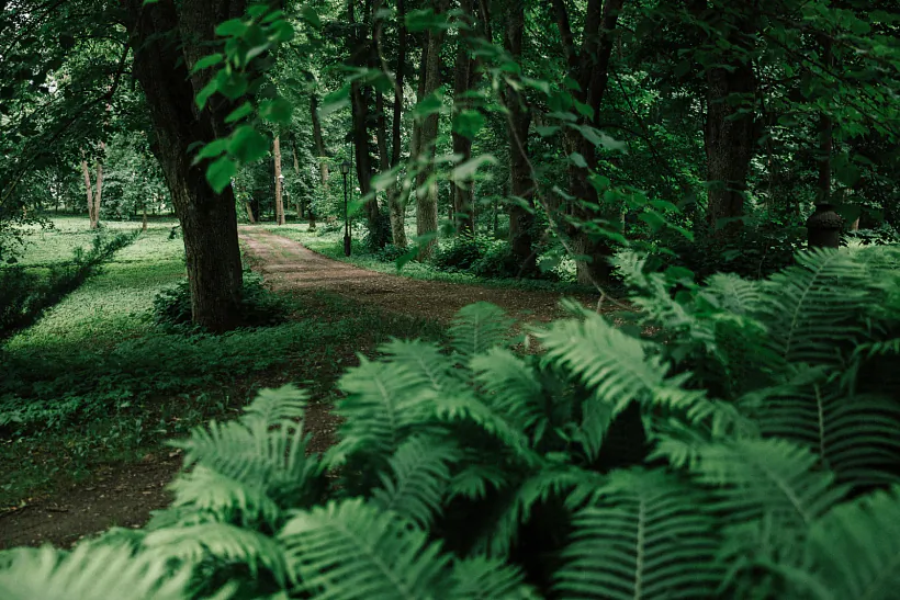 296A2101.jpg 296A2101.jpg