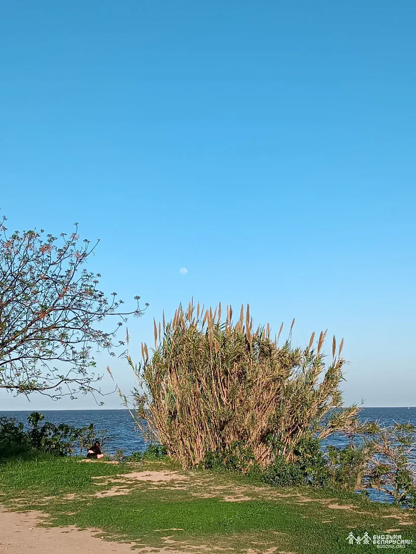 Bierah La-Platy ŭ Buenas-Ajresie