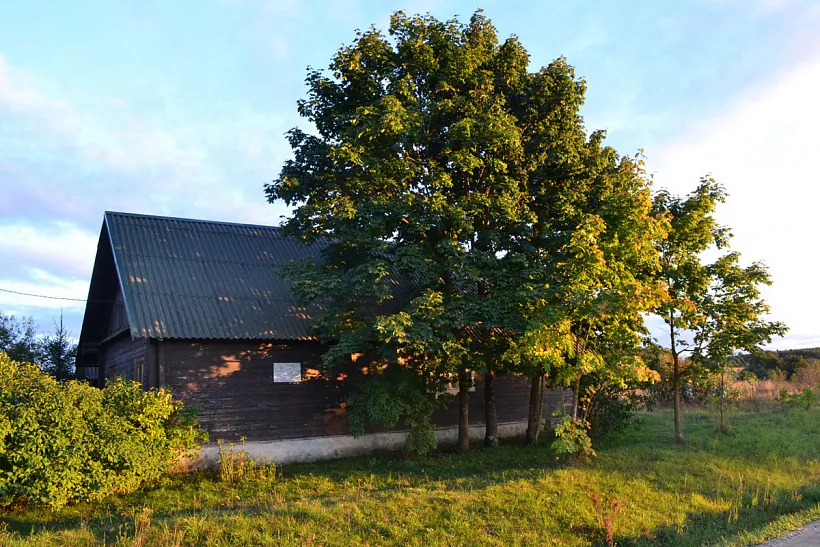 Svirany, chata na miescy budynka, dzie naradziŭsia Francišak Bahuševič