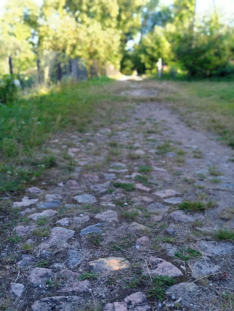 photo_2022-10-06_14-00-08.jpg photo_2022-10-06_14-00-08.jpg