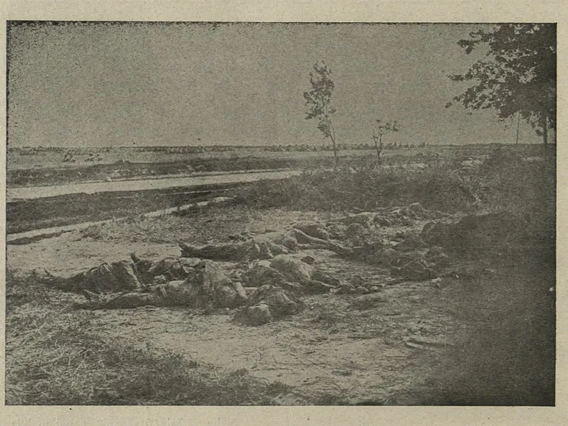 Ekshumacyja ciel liudziej, zabitych čekistami lia Minska