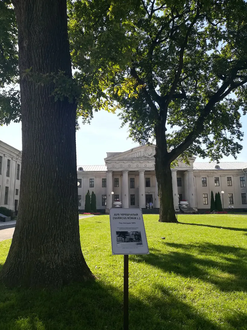 4 photo_2022-08-04_10-06-40-2-1.jpg 4 photo_2022-08-04_10-06-40-2-1.jpg