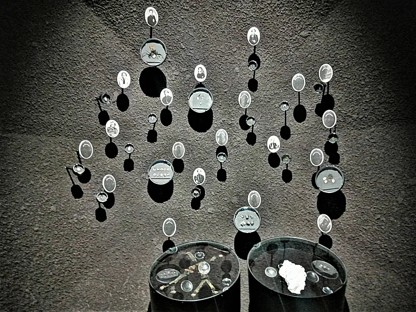 IMG_20230310_122905.jpg IMG_20230310_122905.jpg