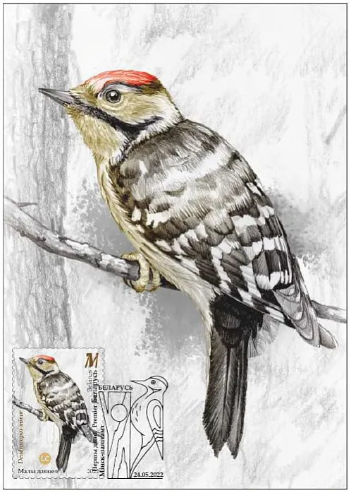 photo_2022-06-01_10-35-12.jpg photo_2022-06-01_10-35-12.jpg