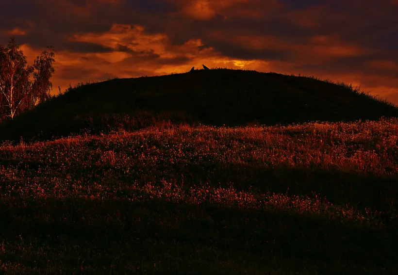 mal_17.jpg mal_17.jpg