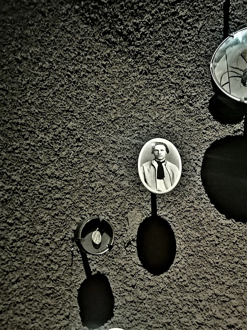 IMG_20230310_123652.jpg IMG_20230310_123652.jpg