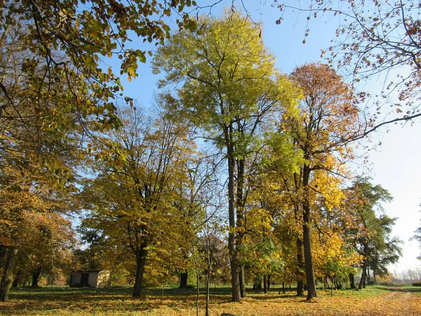 Park