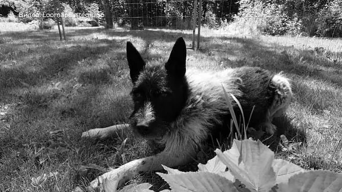 photo_2022-01-17_18-44-27.jpg photo_2022-01-17_18-44-27.jpg