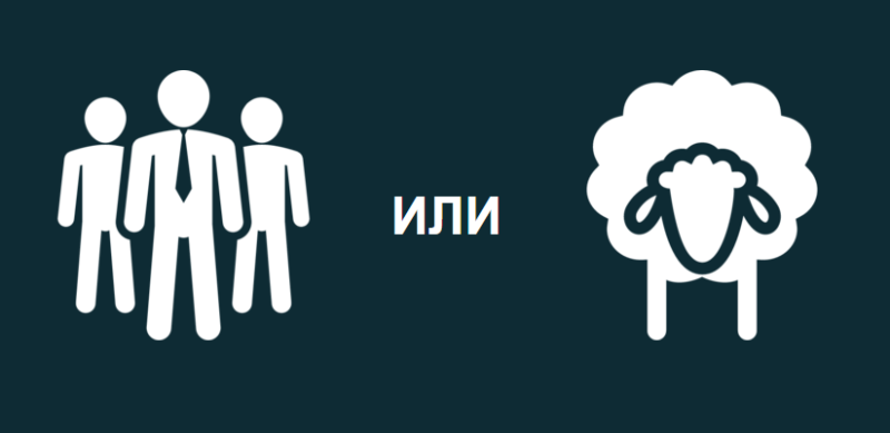 lbZEW8n