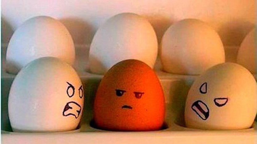 full-huevos-expresivos